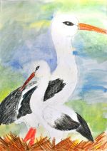 Barániová Sára.jpg